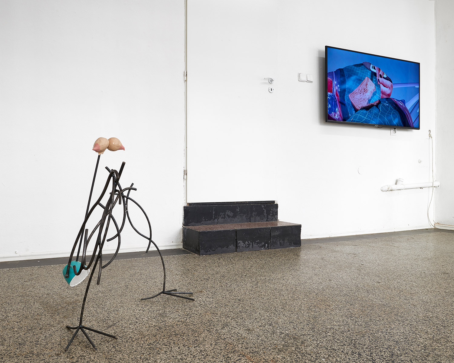 Galatine, Lucia Leuci, Katy McKarthey, installation view
