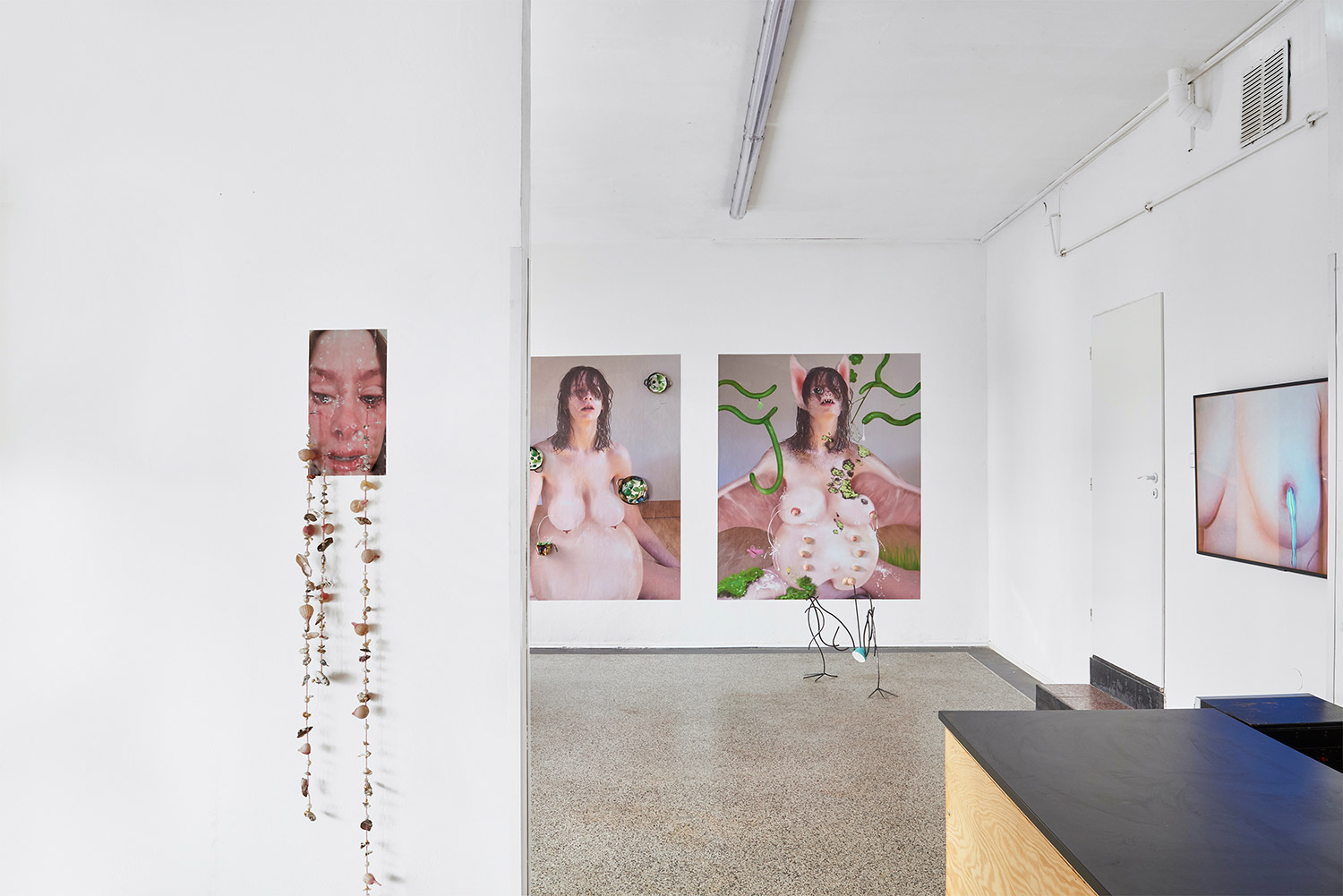 Galatine, Jaana Kristiina Alakoski, Lucia Leuci, installation view