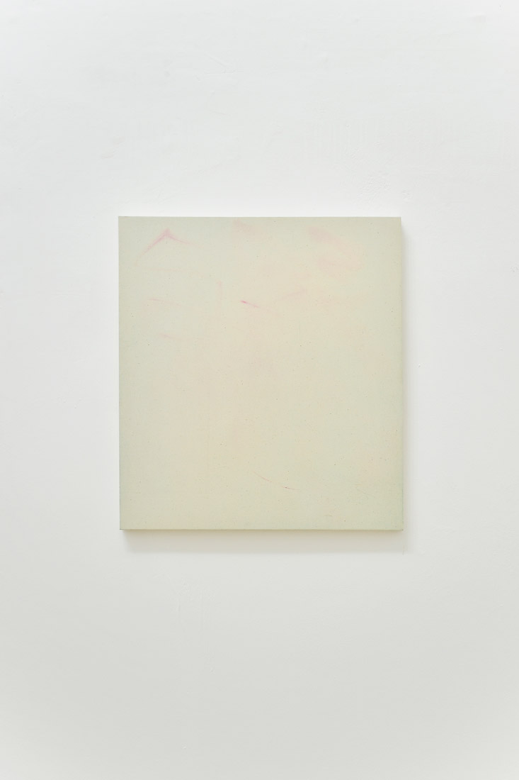 Yuichiro Kikuma, Untitled, 2016, olio, colla vinilica su calicò, 45×49,5 cm