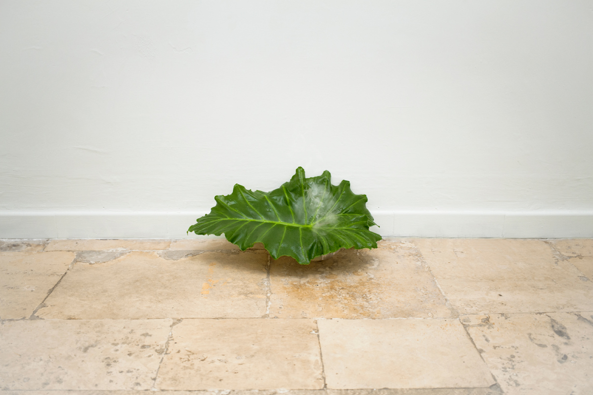 Julie Grosche, Walk me out, 2012, 34 x 52 cm. mist maker, bowl, water, Colocasia leaf.