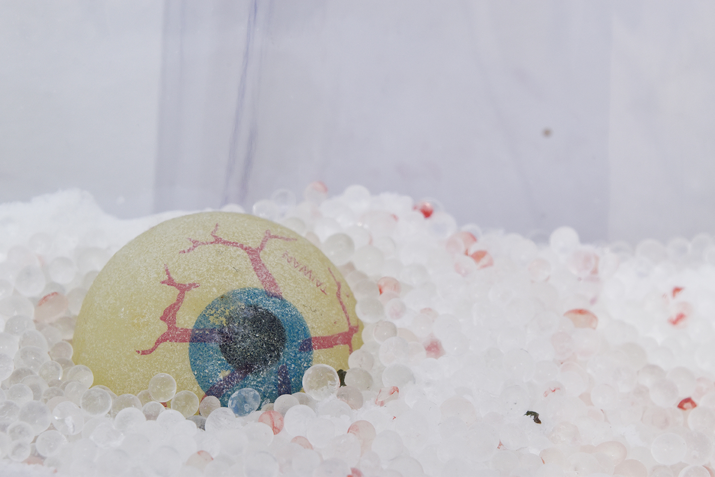Lauren Gault, hereness is fulll of thereness. 2017, Welded PVC, water, polymer balls, worn contact lenses - salt, silica, silica eaten peeled lychees, petroleum jelly, laser cut broken acryllic, glow in the dark eyeball, fork, human and silica eaten strawberries. Variable dimensions. (detail).