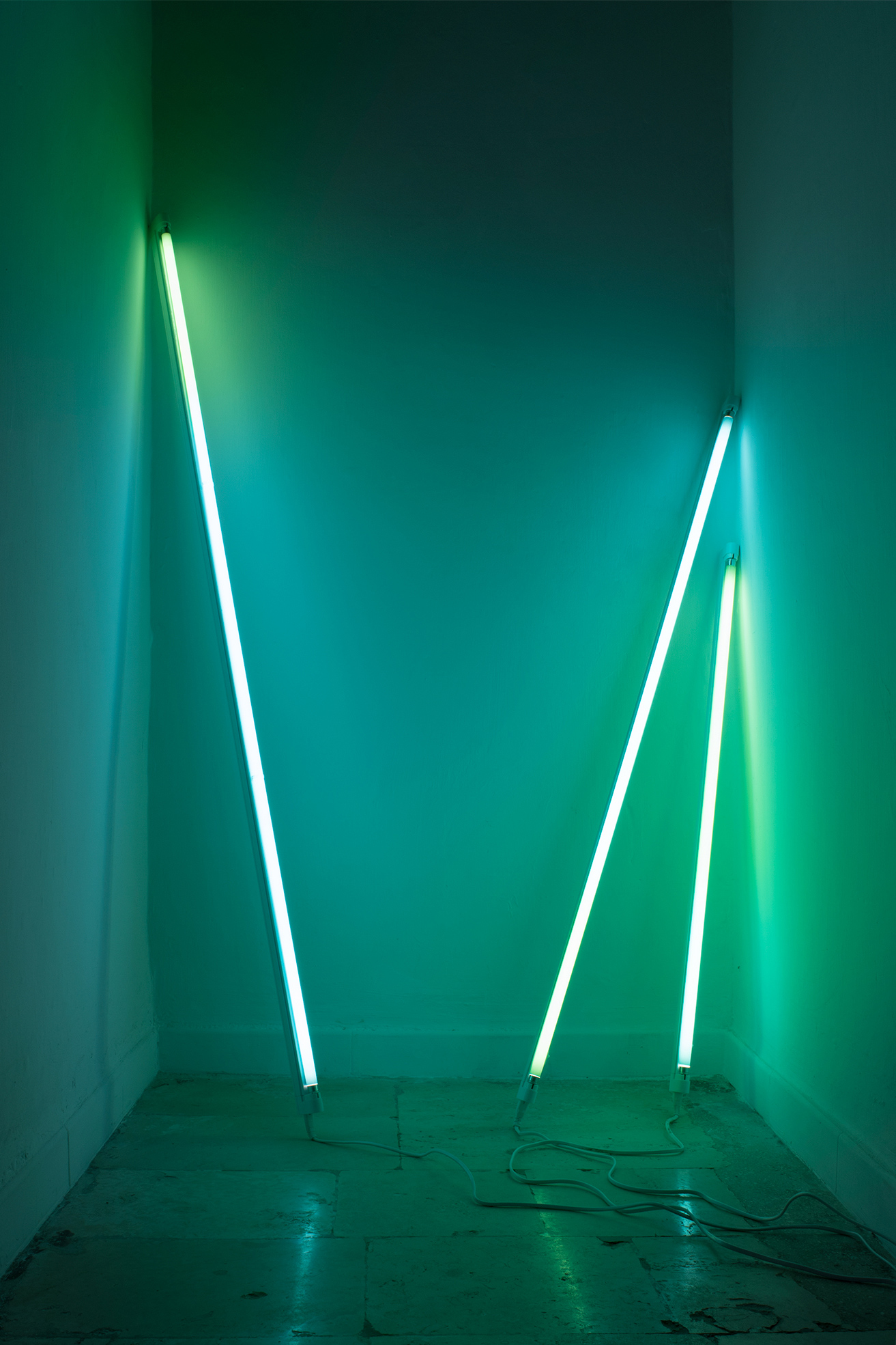 David Stjernholm, The beat effect, The beat effect, Digital printing on transparent film, neon tubes, variable dimensions, 2013/2018.