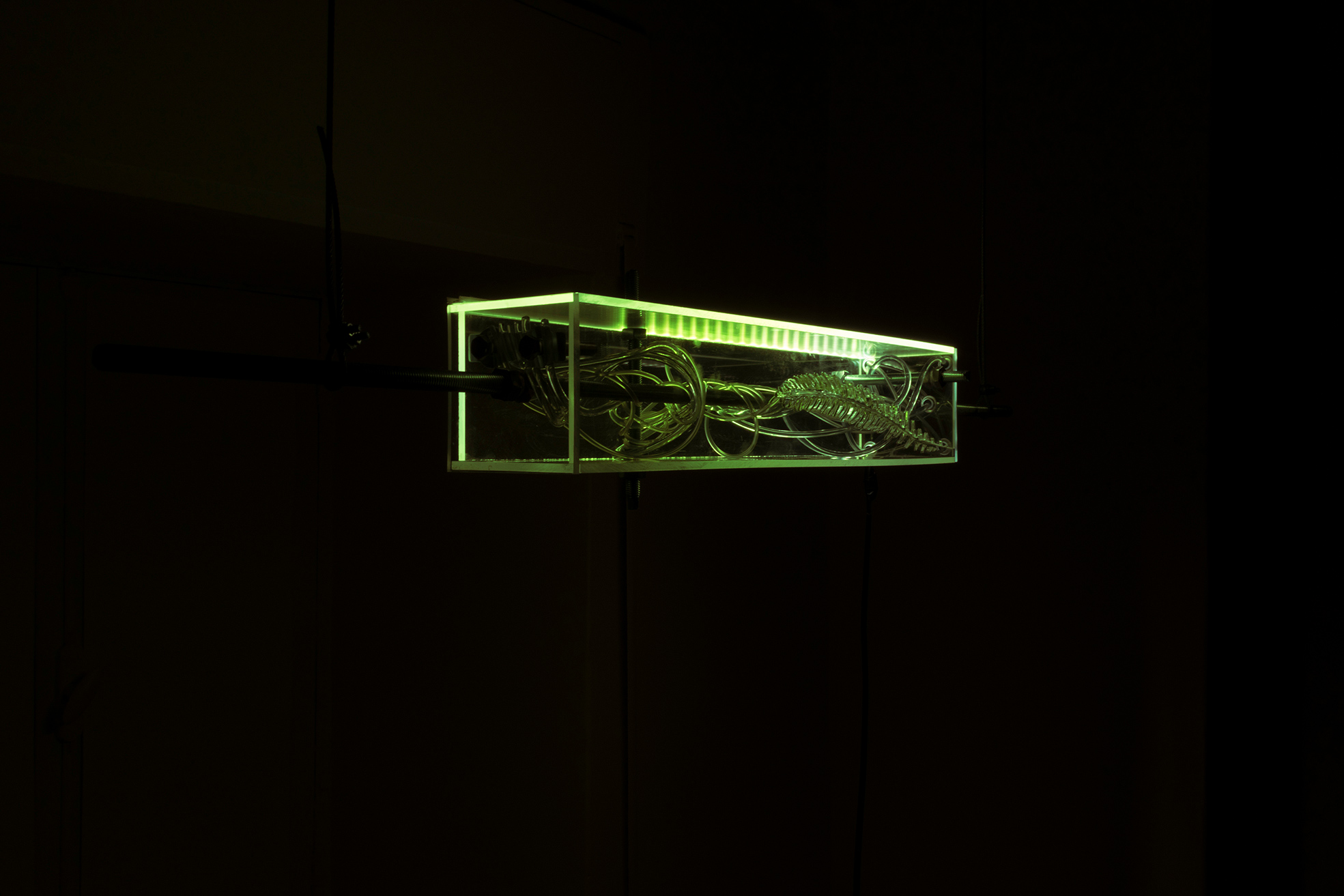 Alexandra Koumantaki, Luminous Pois, Plexiglas, engraving on plexiglass, bolts, led lights, steel rod, steel cables, optical fiber, microprocessor. Variable dimensions, 2018.