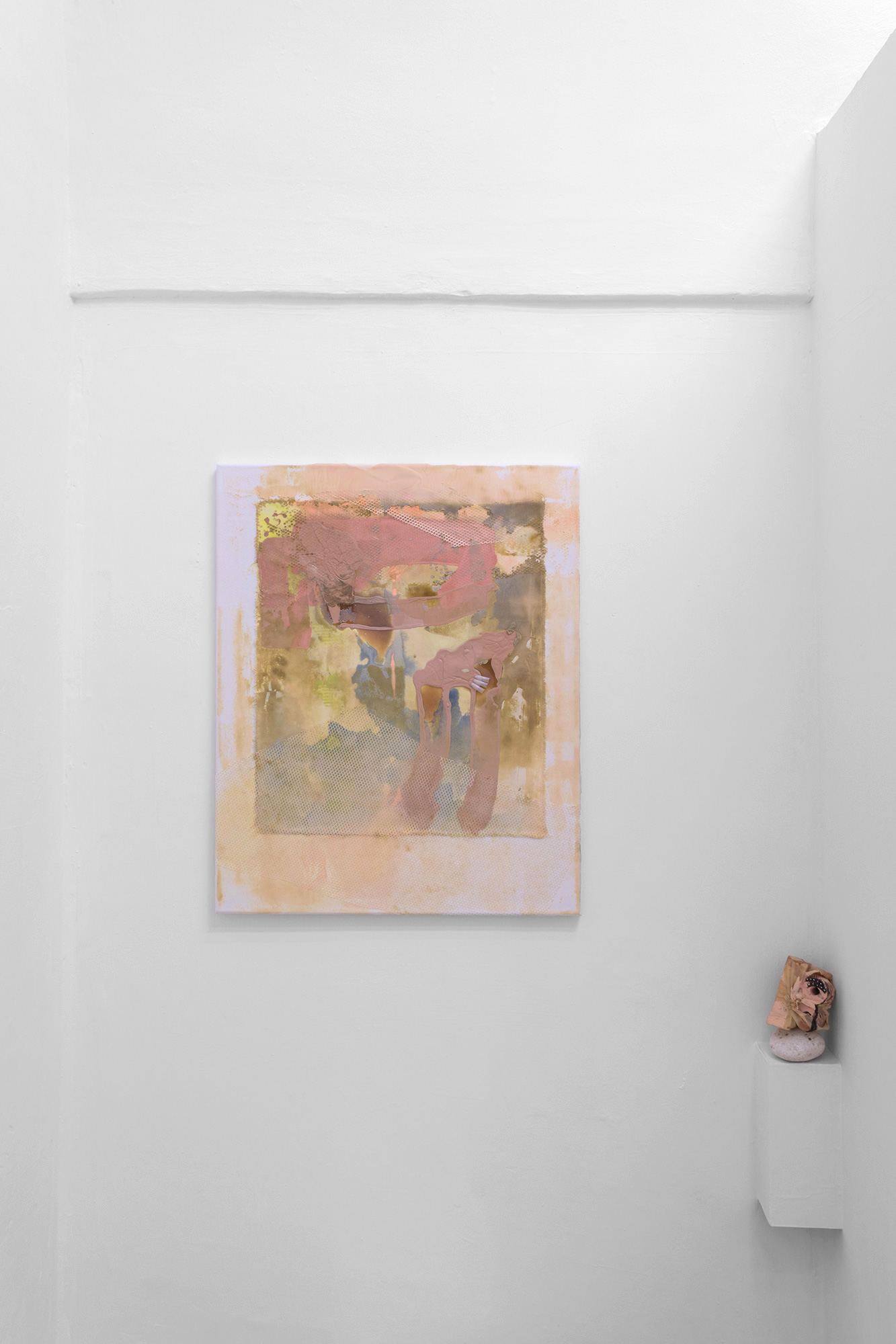 Julia Colavita, Skin Tone Series (KVI), 2017, Acrilico, lattice e rete su tela grezza 110 x 80 cm