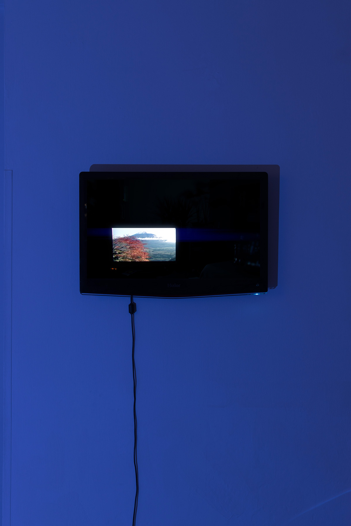 Rustan Söderling, Eternal September, 2017, Four channel video installation. Duration 18 min 11 sec. Variable dimensions (detail).