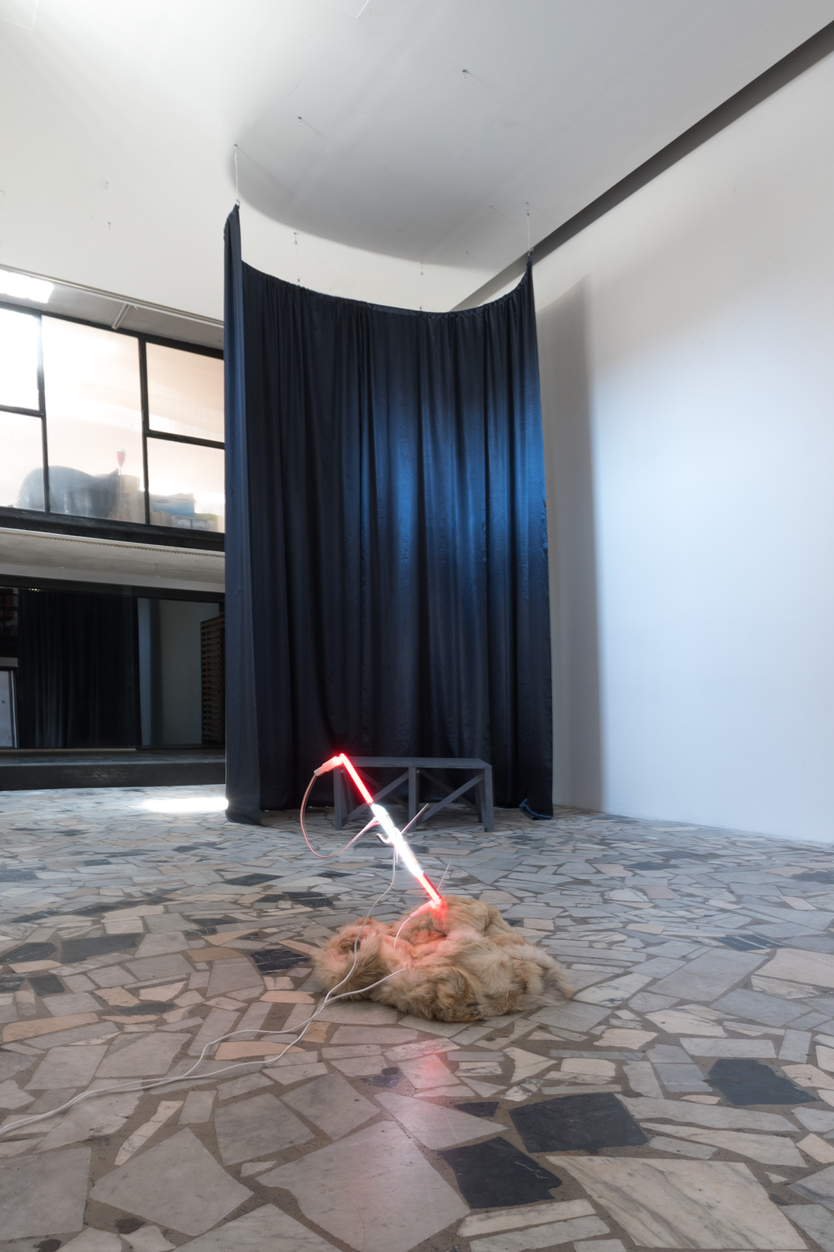 Daniela Corbascio Untitled, 2018. Pelliccia, neon lights, ferro, 60 x 65 x 55 cm, daylight.