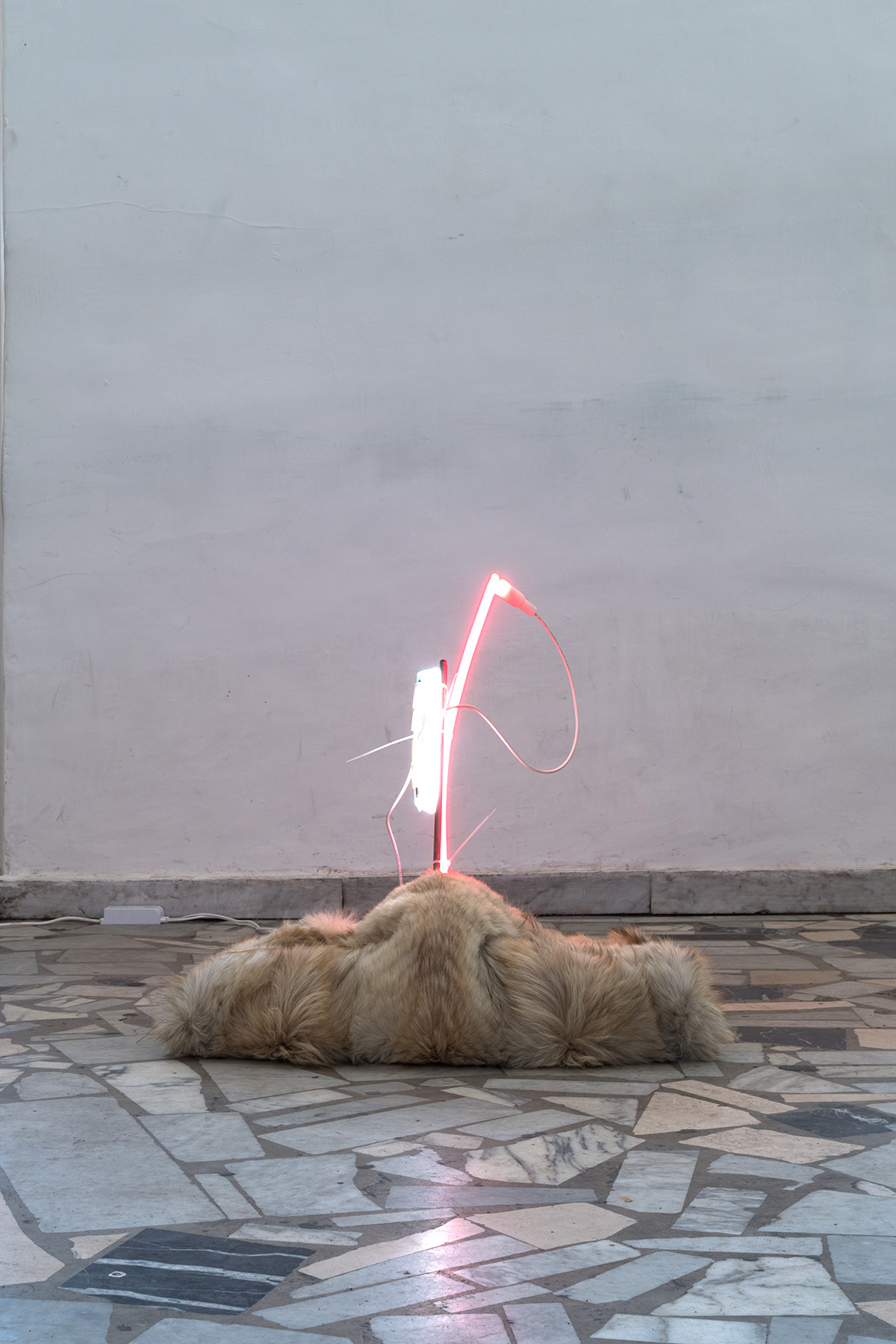 Daniela Corbascio Untitled, 2018. Fur, neon lights, iron, 60 x 65 x 55 cm, daylight.